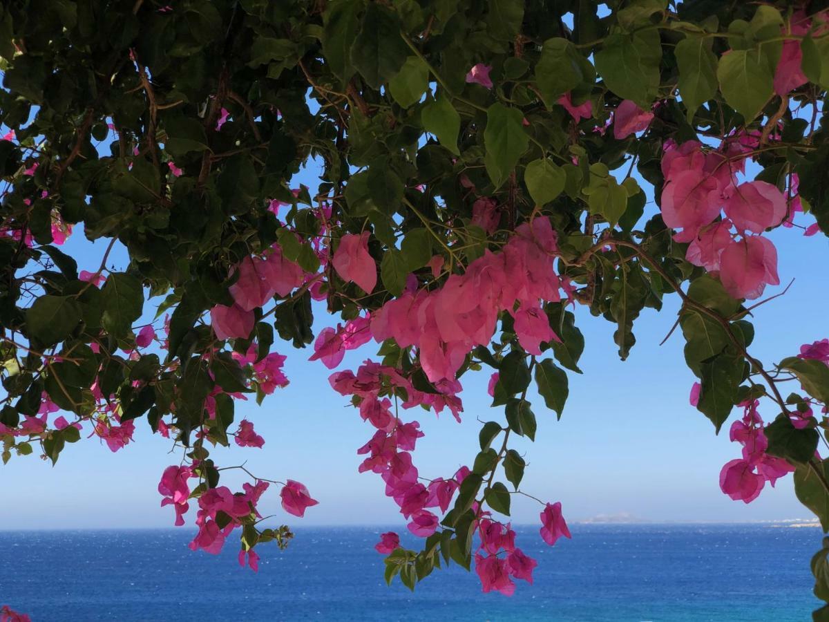 Villa Ardani Karpathos Esterno foto