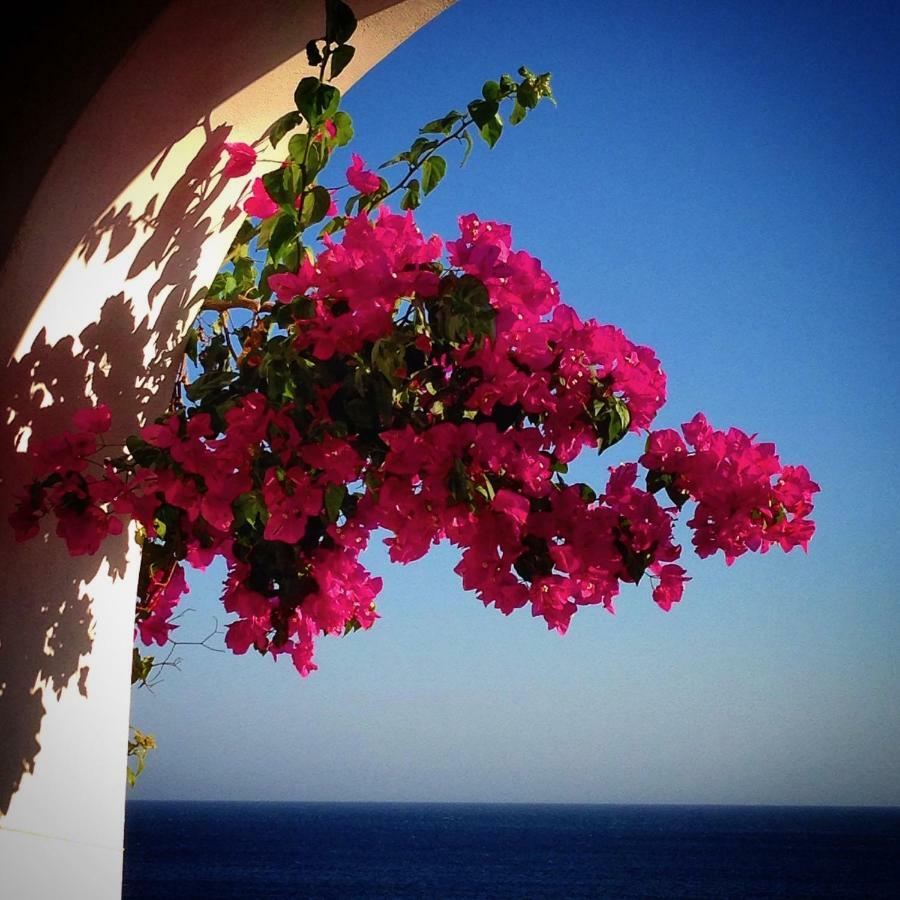 Villa Ardani Karpathos Esterno foto